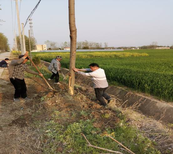 植树绿化助力乡村振兴